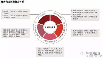 海外電力投資 趨勢(shì)、挑戰(zhàn)與資產(chǎn)管理新思路
