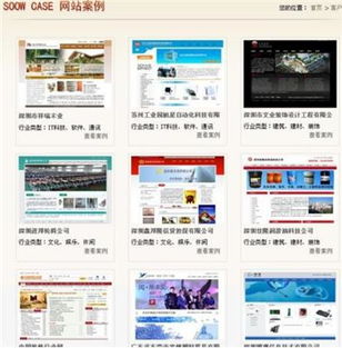 專業(yè)網(wǎng)站建設(shè) 設(shè)計(jì)、制作與選擇公司全指南
