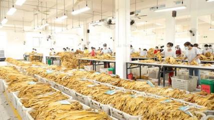 寧遠(yuǎn)縣:&ldquo;三舉措&rdquo;破除農(nóng)村集體經(jīng)濟(jì)發(fā)展瓶頸