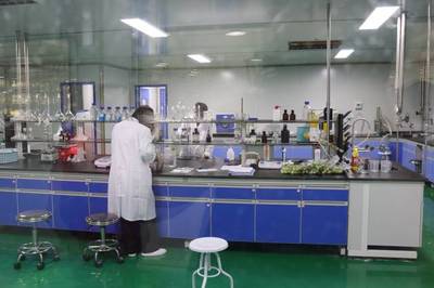 日處理300噸鮮梅、生產6款青梅酒,陸河青梅產業園正式投入使用