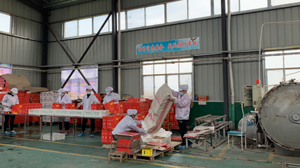 棗陽:精深加工破局 飲料助農增收