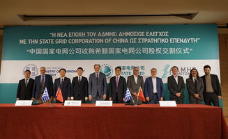 國家電網 服務 一帶一路 推進互聯互通
